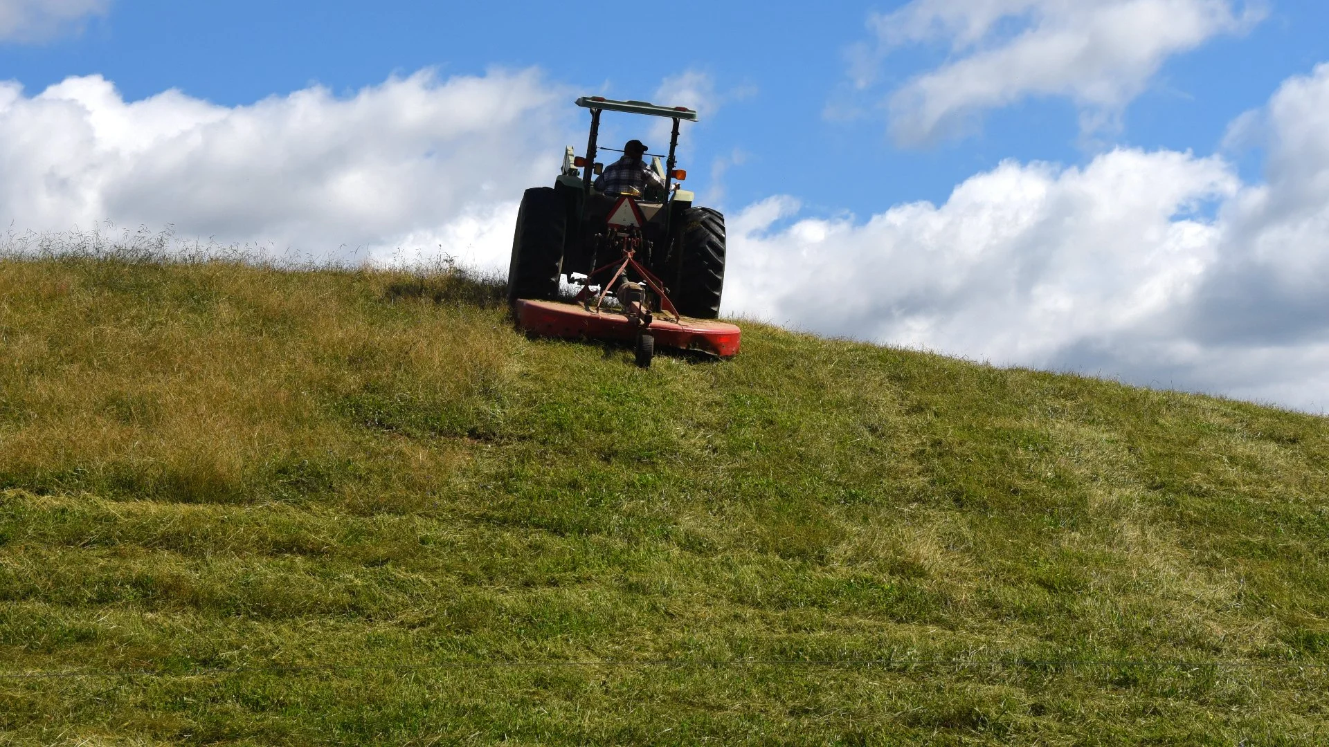 Close-up of wet grass in a lawn in Groton, CT