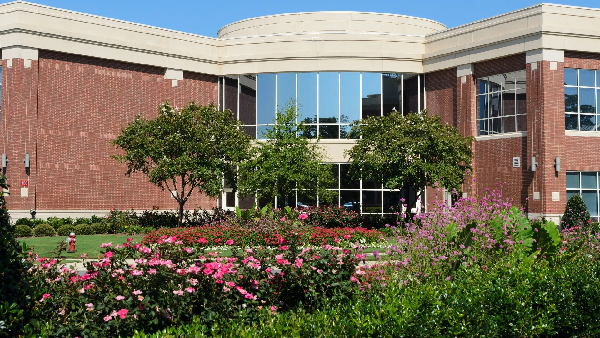 Close-up of wet grass in a lawn in Groton, CT