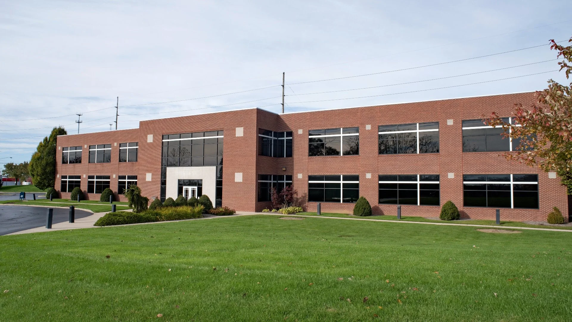 Close-up of wet grass in a lawn in Groton, CT