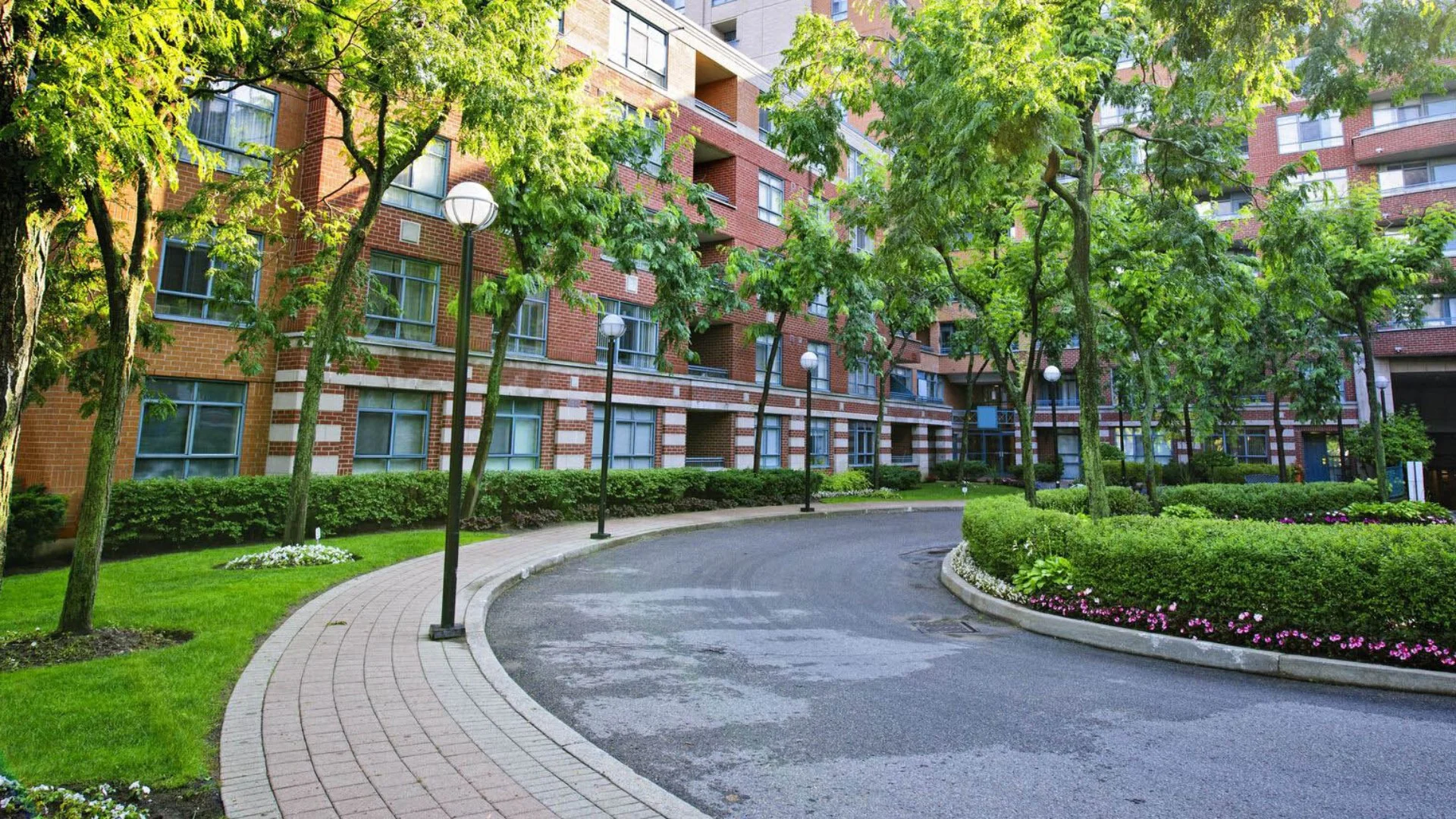 Close-up of wet grass in a lawn in Groton, CT