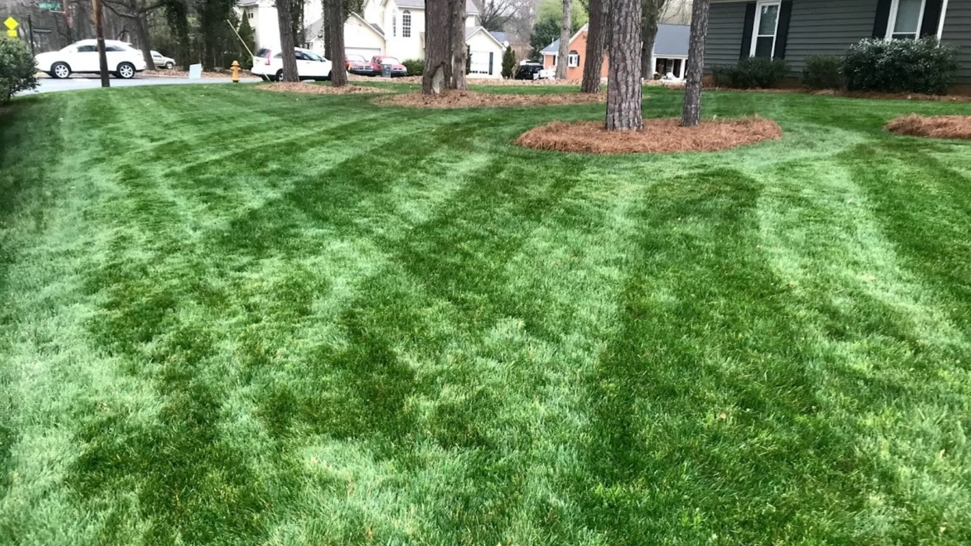 Close-up of wet grass in a lawn in Groton, CT