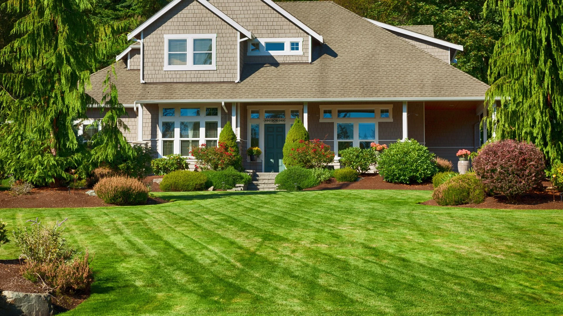Close-up of wet grass in a lawn in Groton, CT