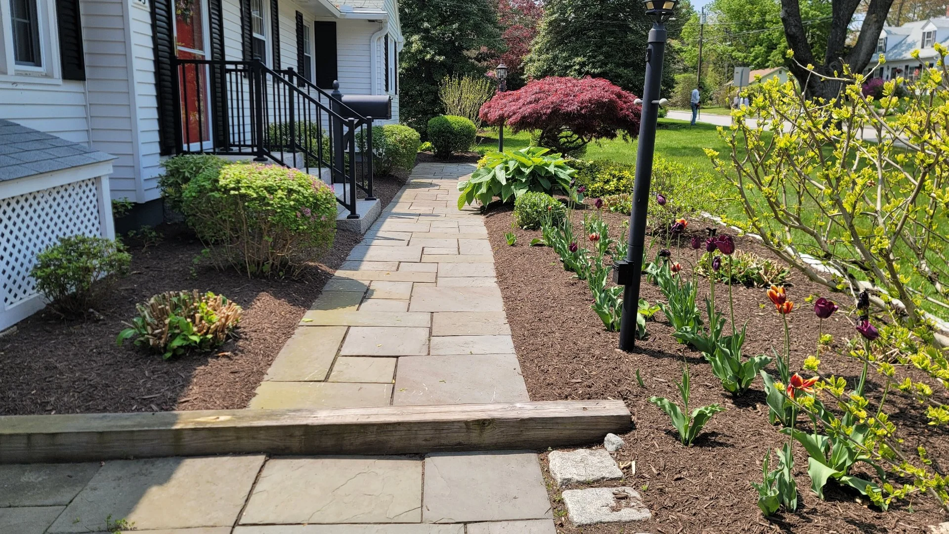Close-up of wet grass in a lawn in Groton, CT