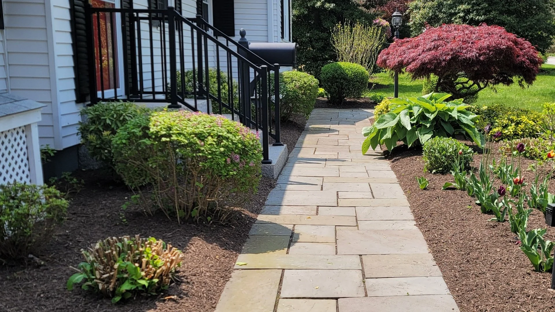 Close-up of wet grass in a lawn in Groton, CT