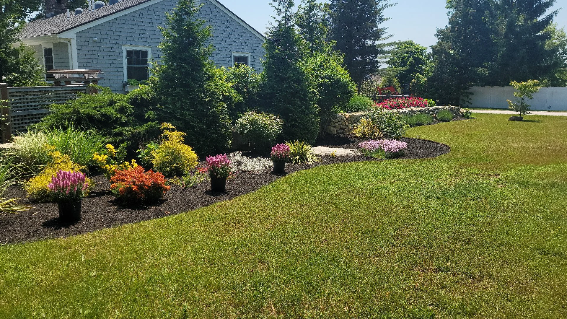 Close-up of wet grass in a lawn in Groton, CT