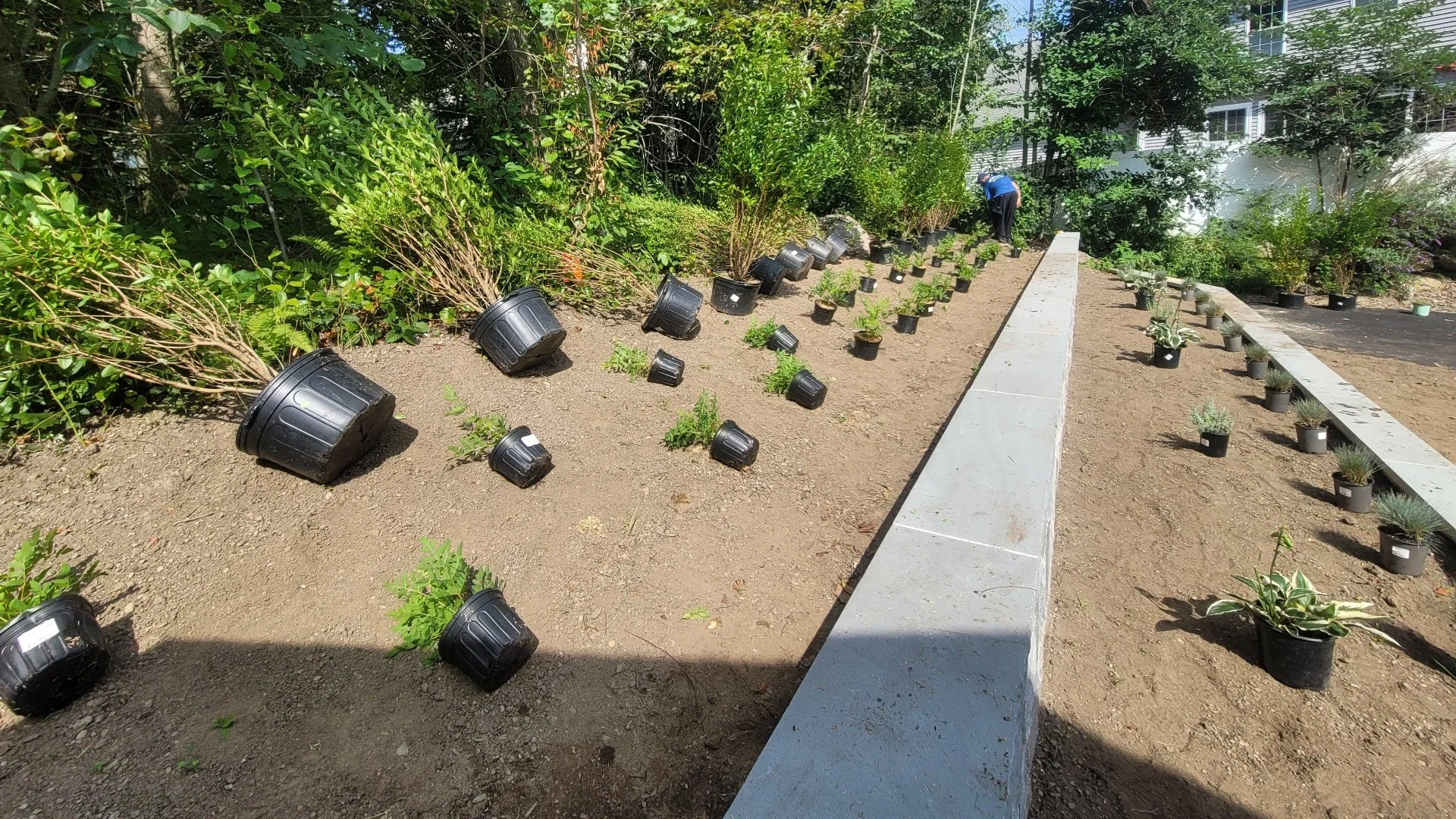 Close-up of wet grass in a lawn in Groton, CT