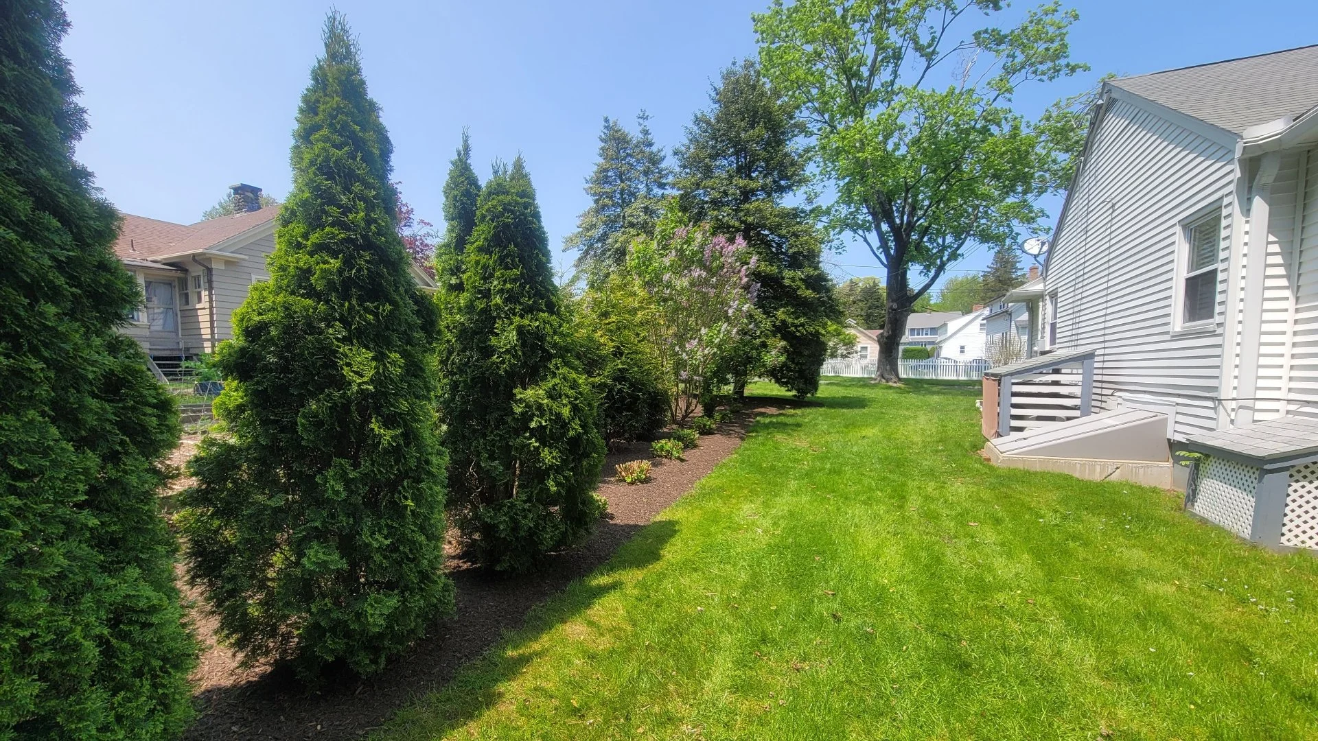Close-up of wet grass in a lawn in Groton, CT