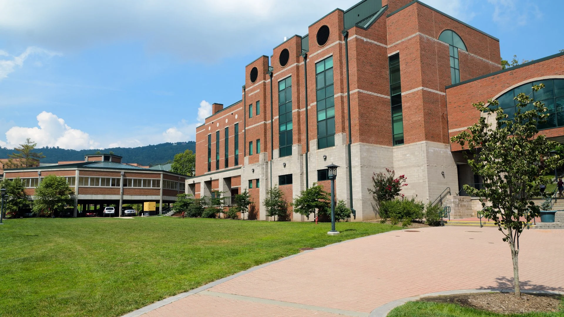 Close-up of wet grass in a lawn in Groton, CT