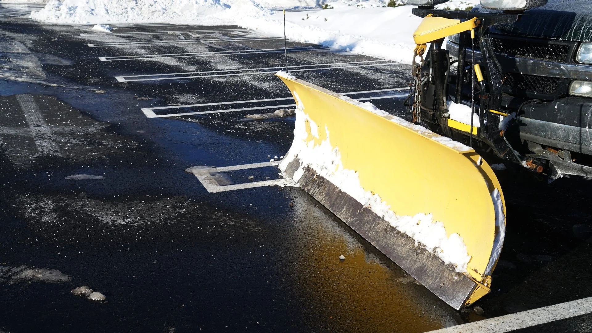 Close-up of wet grass in a lawn in Groton, CT
