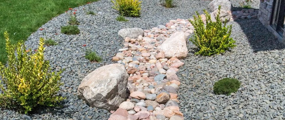 Dry creek bed in Groton, CT.