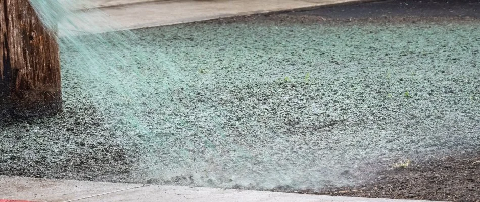Leftover stump on a lawn after tree removal in Groton, CT.