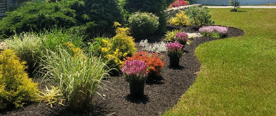 Colorful flowers and mulch in a landscape in Groton, CT.