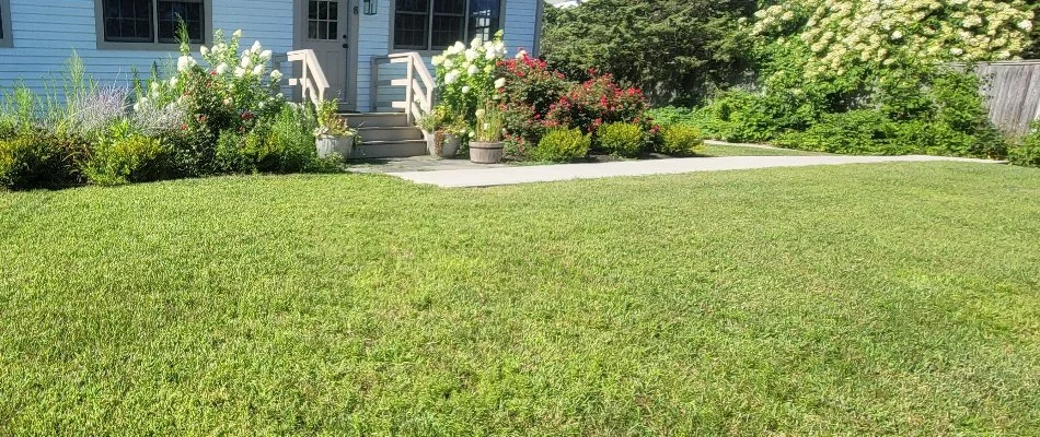 Flowers and shrubs on a green lawn in Pawcatuck, CT.