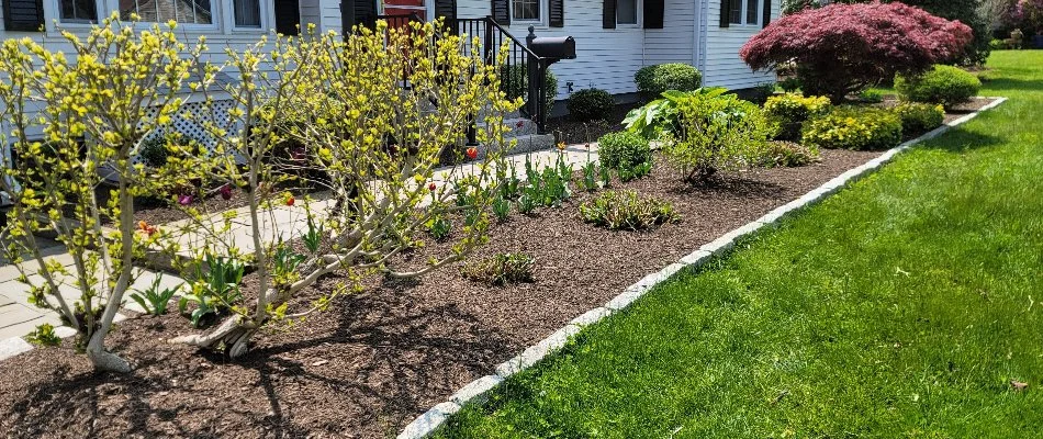 Spraying shrubs at home in Mystic, CT.