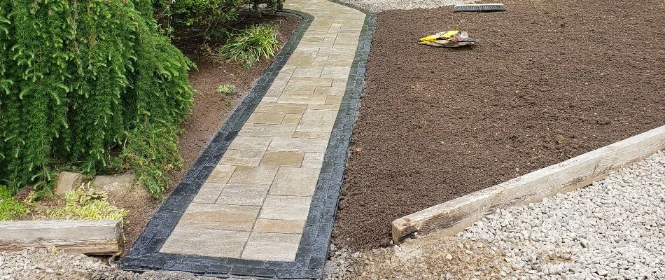 Green plants in Groton, CT, beside a paver walkway.