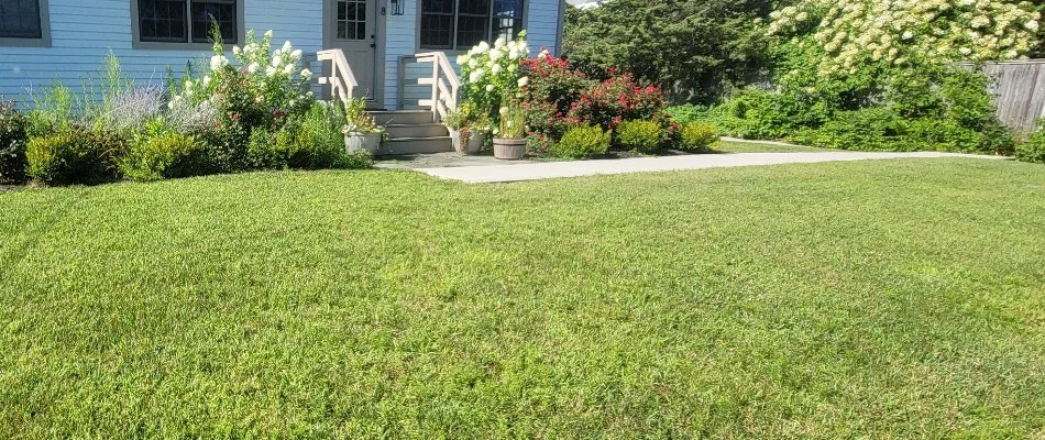 Healthy grass and vibrant flowers in a yard in Groton, CT.