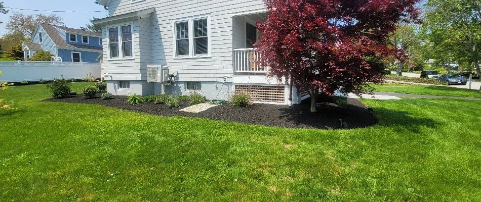 House in Groton, CT, behind a tree, some plantings, and a green lawn.