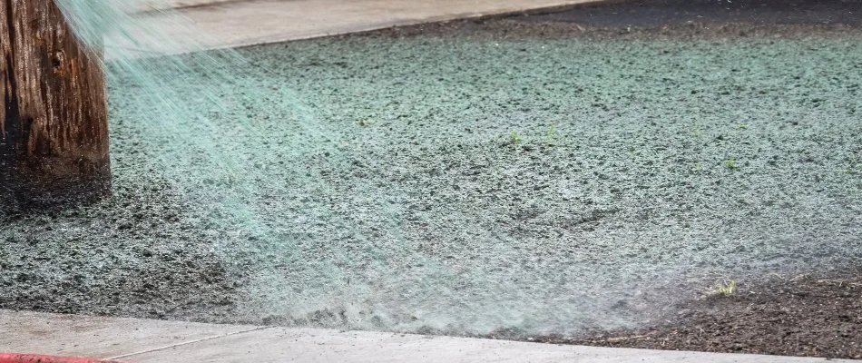 Hydroseeding slurry being sprayed on soil in Groton, CT.