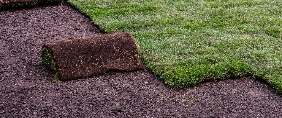 Installing a roll of sod in Groton, CT.