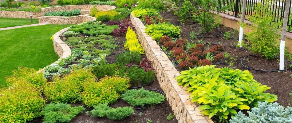 Landscape beds in Groton, CT, with lush, green plants.