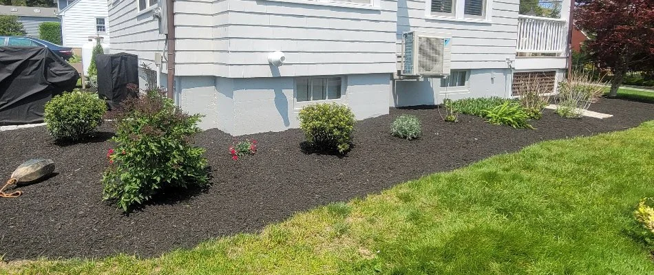 Landscape in Groton, CT, with black mulch and small plants.