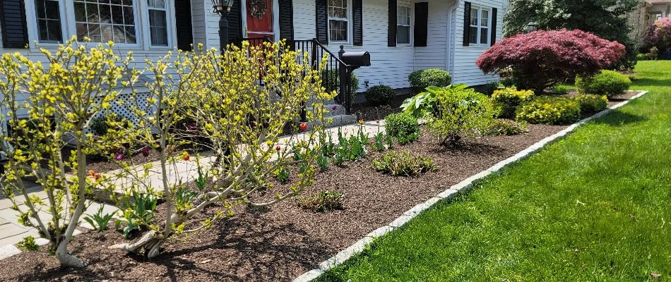 Landscape in Groton, CT, with mulch and plants.
