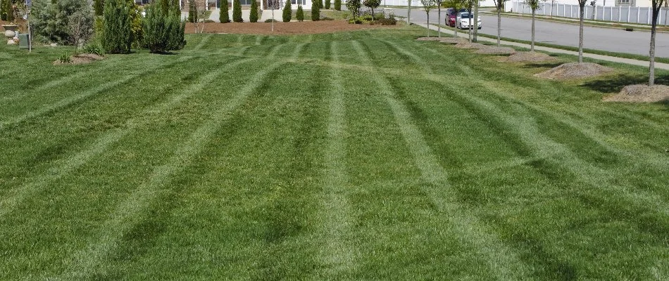 Large commercial lawn in Groton, CT, with mowing stripes.