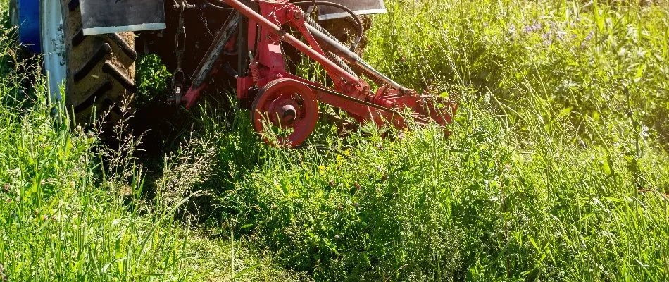 Machinery cutting down dense brush in Groton, CT.