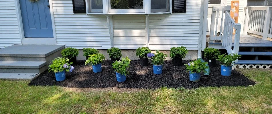 Mulched landscape and potted plants in Pawcatuck, CT.