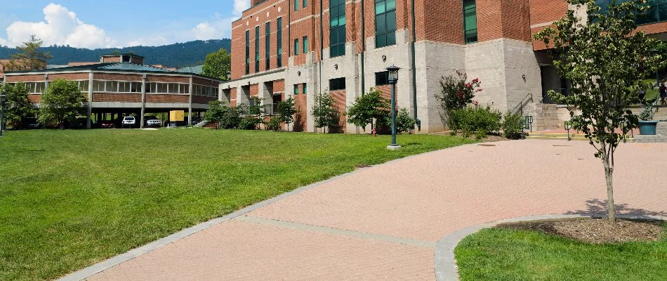Neat commercial grounds with trees and lawn in New Haven, CT.