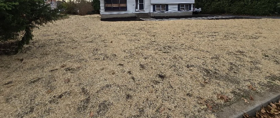Graded space with straw covering seeds for a new lawn in Groton, CT.