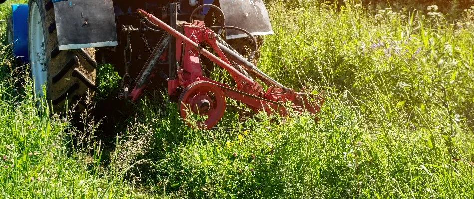 Removing overgrown brush on a commercial property in Groton, CT.