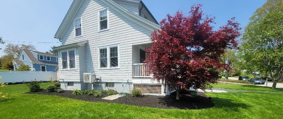 Tree and plants in Gales Ferry, CT, on a mulched landscape bed.