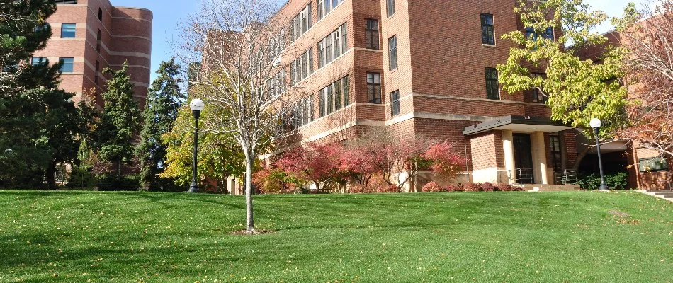 Trees and green grass near a commercial building in Groton, CT.