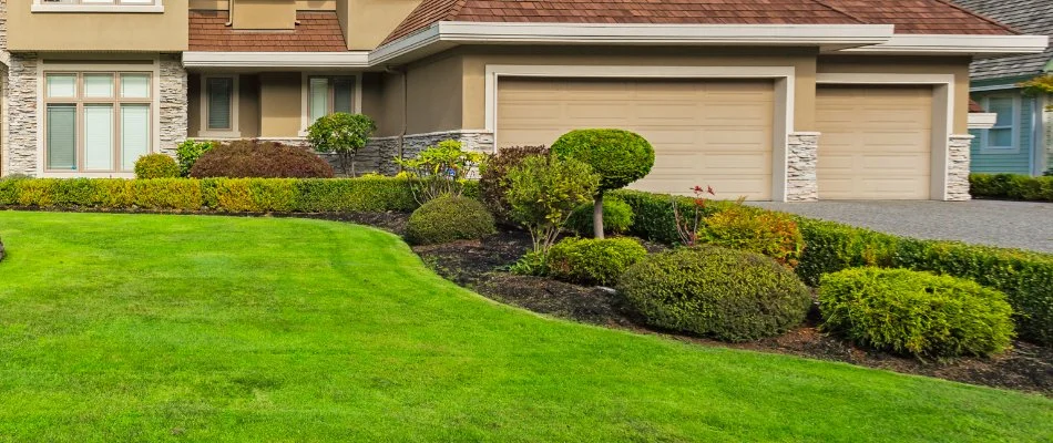 Trimmed shrubs on a landscape in Mystic, CT.