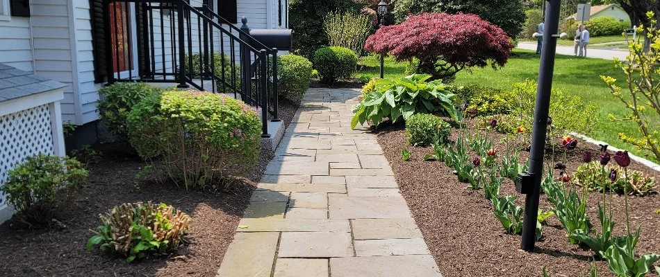 Mulched landscape beds in Groton, CT, with trimmed shrubs.