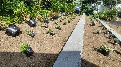 American Ground & Snow Management Employees